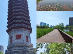 -西海子公园