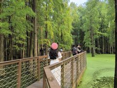 -青山湖景区