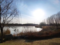 -马家湾湿地公园