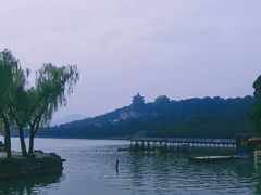 -皇家御河游(紫御湾码头)