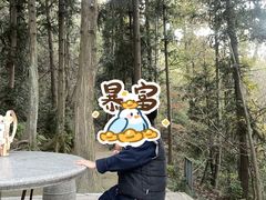 -冶父山国家森林公园
