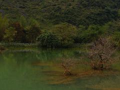 -靖西鹅泉风景区