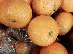 -青年公社烤鸭(蜀山万象汇店)