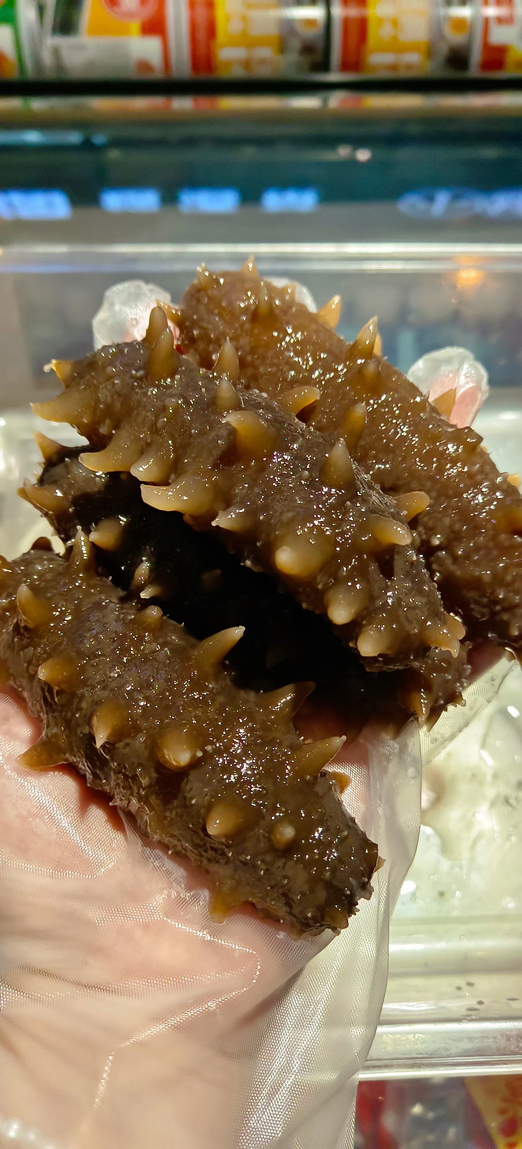 今天你吃海参了吗