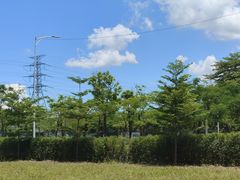 -火炉山森林公园