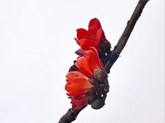 -东山湖公园