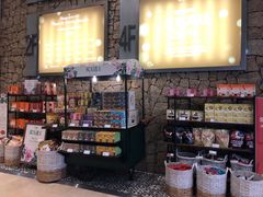 -DFS旗下T广场(新加坡店)