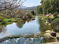-中国茶叶博物馆(双峰馆区)