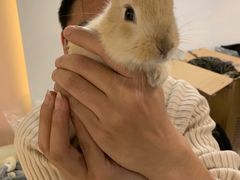 -浣熊柯尔鸭土拨鼠·电玩咖