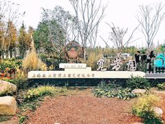 -上海长兴岛郊野公园