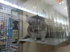 -三旗百汇商品城