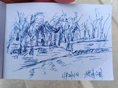 -堤角公园