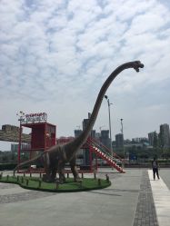 -恐龙探索乐园(磁器口店)
