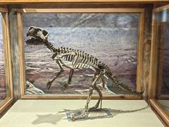 -国家自然博物馆