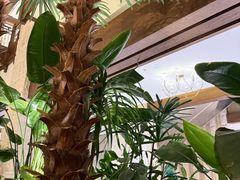 -太湖饭店玉兰厅(自助餐厅)