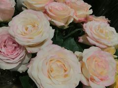 -BOBLOOM花店(宝龙旭辉广场店)