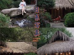 -中国茶叶博物馆(双峰馆区)