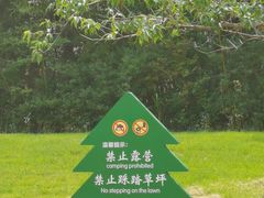 -日照海滨国家森林公园