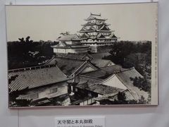-名古屋城