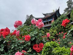 -木府