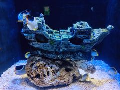 -成都浩海立方海洋公园