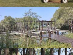 -长兴太湖图影湿地文化园