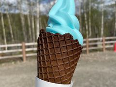 -青池