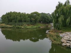 -大兴滨河森林公园