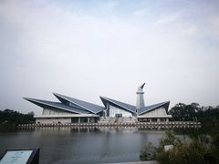 -盐城丹顶鹤湿地生态旅游区
