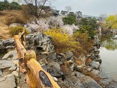 -北京西山国家森林公园