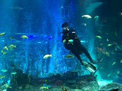 -沈阳海洋探索中心