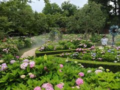 -上海共青森林公园