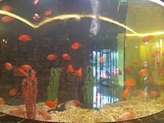 -南通大饭店(老楼)