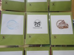 -中国铁道博物馆(正阳门馆)