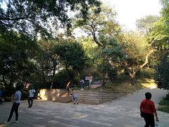 -伯先公园