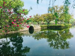 -无锡蠡湖国家湿地公园-蠡园