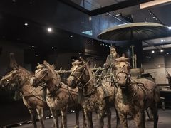 -秦始皇帝陵博物院-丽山园