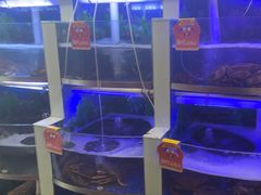 -七欣天香辣蟹火锅(扬州望月路店)