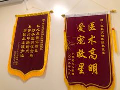 -派联宠物医院·24h·CT·异宠