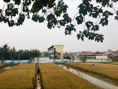 -长安上水缘度假庄园