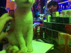 -星宿秘码(鼓浪屿老店)