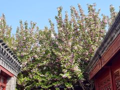 -李叔同故居纪念馆