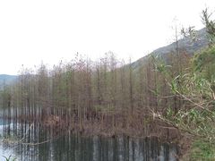 -东海大峡谷