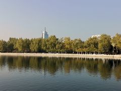-莲花池公园