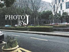 -张江微电子港·地面停车场