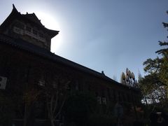 -三猫黑鱼花(南大店)