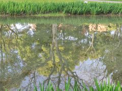 -和平公园
