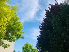 -中关村生命科学园