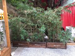 -椿风·养身茶饮(吉大店)