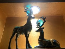 -本真坊美容美体沙龙